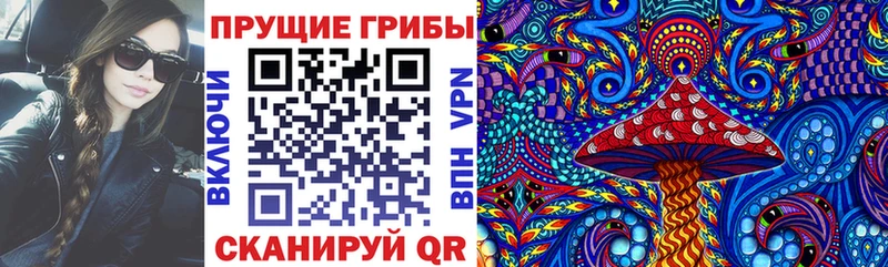 где можно купить   Кемерово  OMG маркетплейс  Псилоцибиновые грибы Psilocybine cubensis 