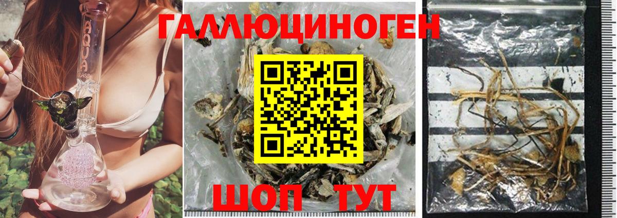 купить наркотики сайты  Кемерово  Галлюциногенные грибы Magic Shrooms  Псилоцибиновые грибы Magic Shrooms 